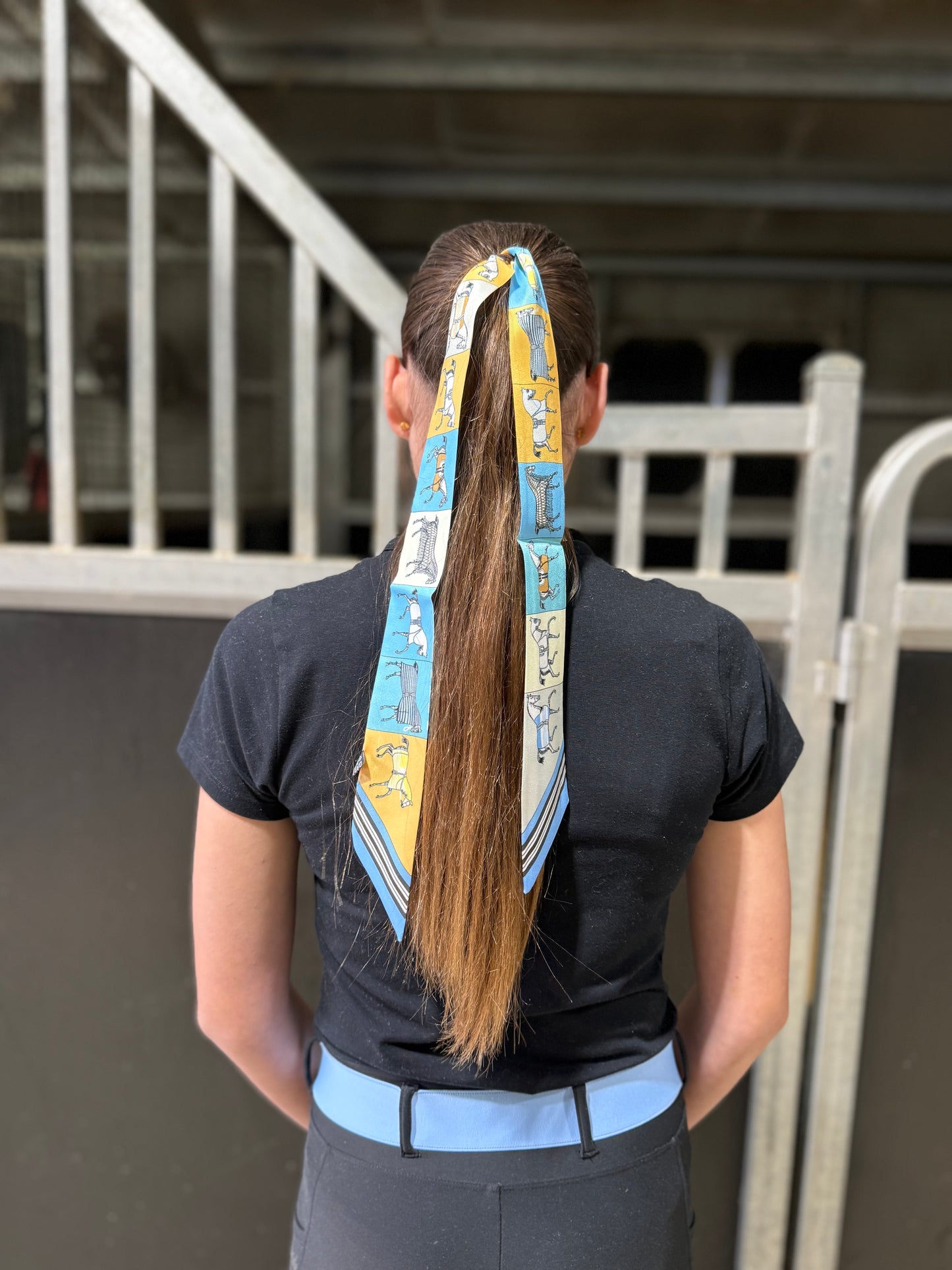 Blue/Yellow Hair Tie